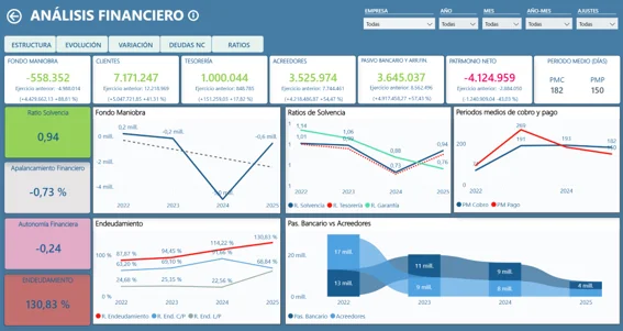 Análisis financiero de BiAudit