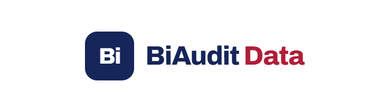 BiAudit Data — Inteligencia de negocio